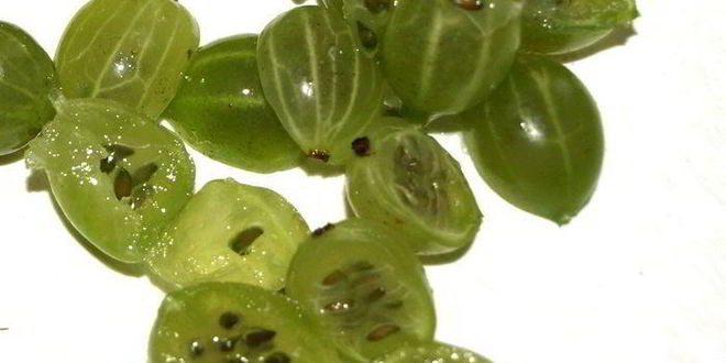 Рецепт фруктово-ягодной окрошка