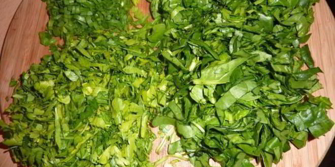 Рецепт окрошки с редисом и шпинатом