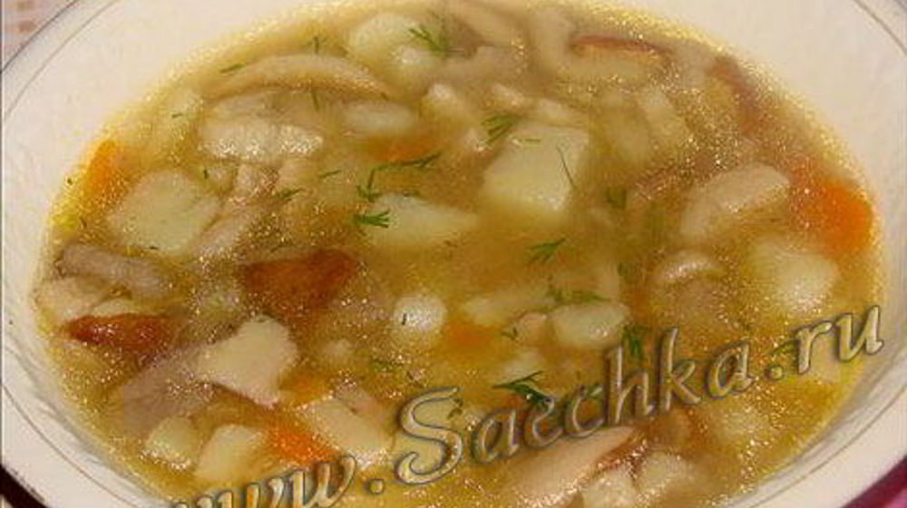 Как приготовить похлебку из белых грибов