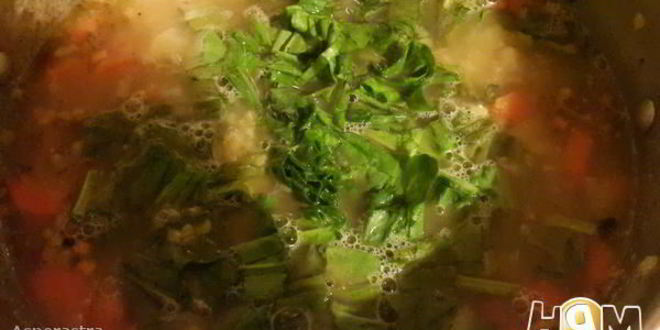 Рецепт чечевичных зеленых щей