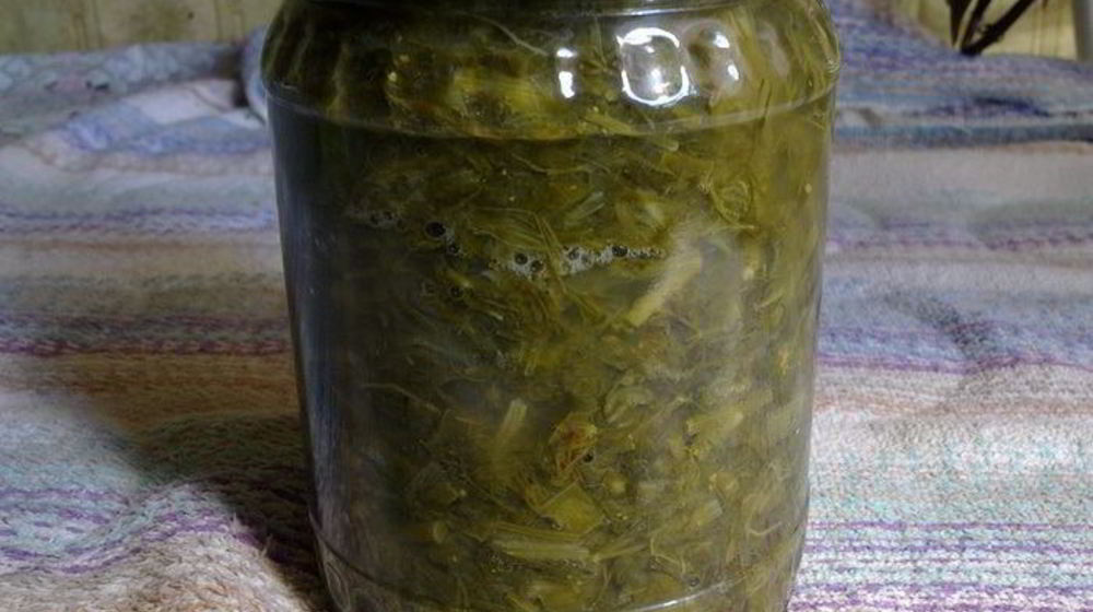 Как приготовить щавель для летних щей зимой