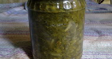 Рецепт Щавеля для летних щей зимой