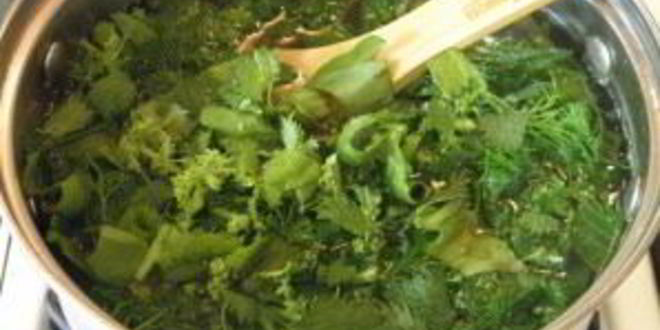 Рецепт щей из щавеля и крапивы