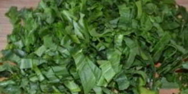 Рецепт щей из щавеля с капустой