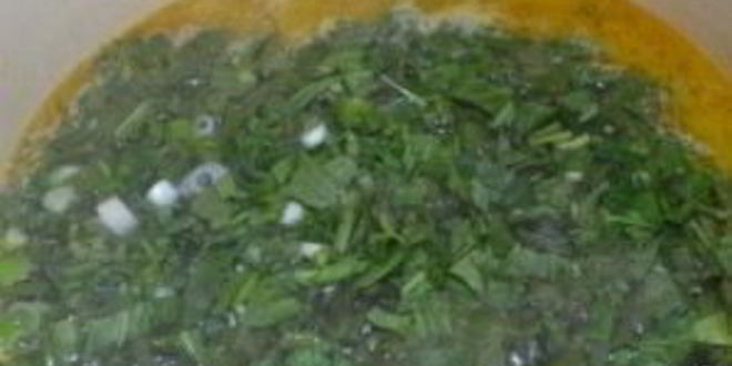 Рецепт щей из щавеля с капустой