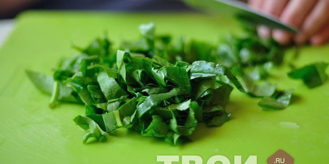 Рецепт щей из щавеля