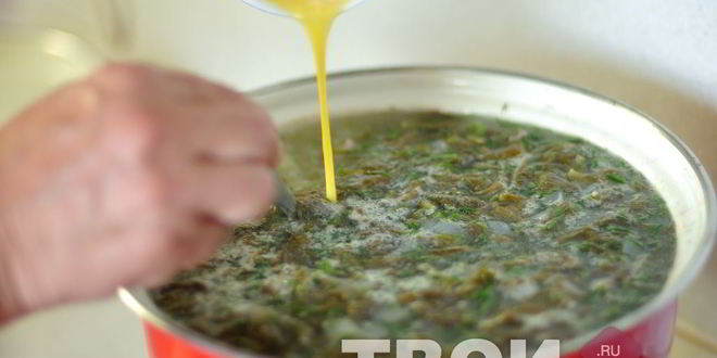 Рецепт щей из щавеля