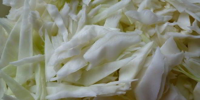 Рецепт щей из свежей капусты с солеными помидорами