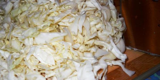 Рецепт щей из свежей капусты