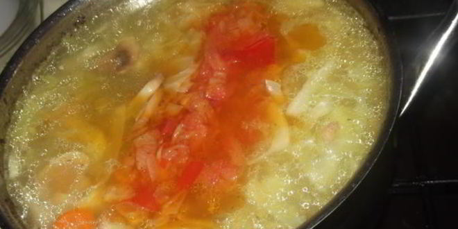 Рецепт щей на курином бульоне с шампиньонами