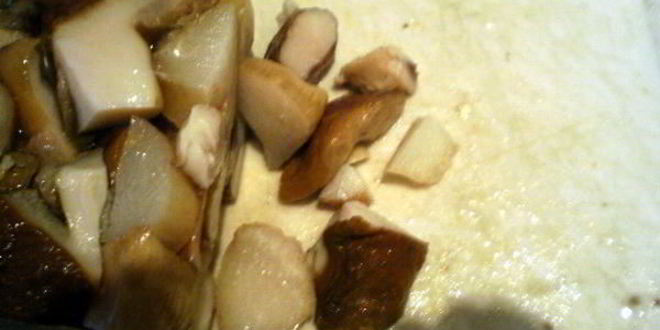 Рецепт щей с говядиной и грибами