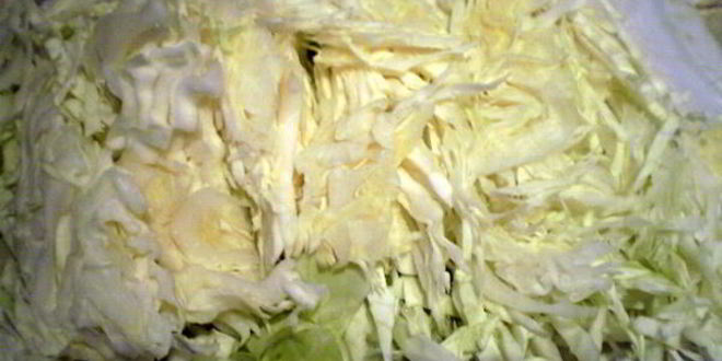 Рецепт щей с говядиной и грибами