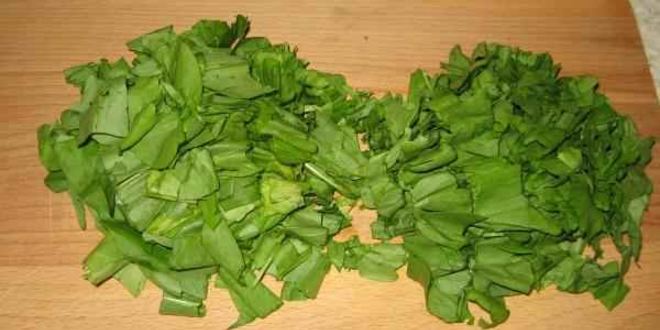 Рецепт щей зеленых