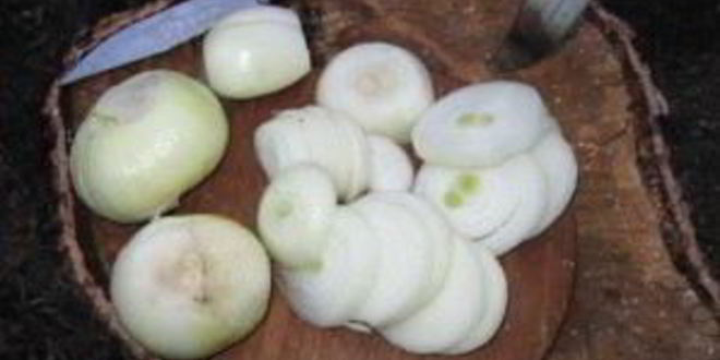 Рецепт шурпы из лосятины