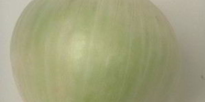 Рецепт шурпы в горшочке