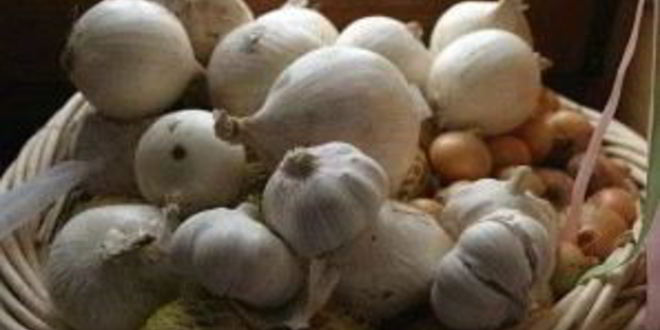 Рецепт шурпы в казане на костре