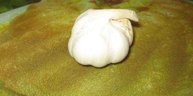 Рецепт грузинского супа харчо