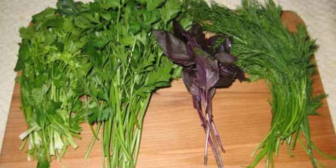 Рецепт грузинского супа харчо