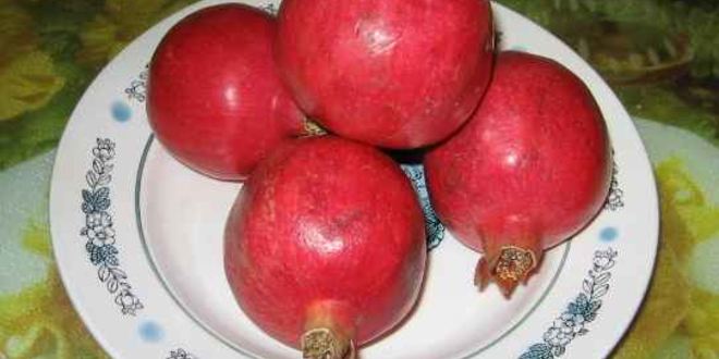 Рецепт грузинского супа харчо