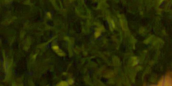 Рецепт харчо из говядины