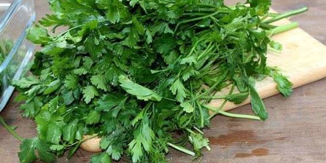 Рецепт харчо в казане