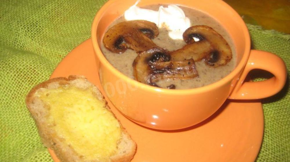 Как приготовить грибной суп-пюре на молоке из свежих грибов