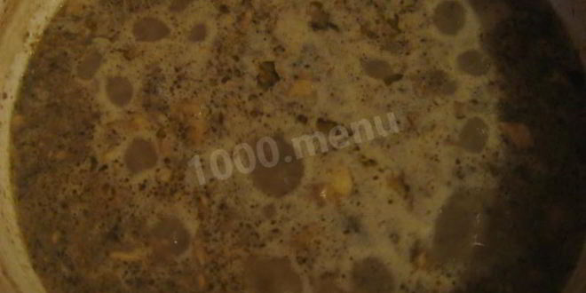 Рецепт грибного супа-пюре на молоке из свежих грибов