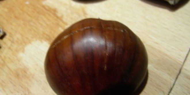 Рецепт нежного крема-супа из каштанов с красным вином и пюре из сельдерея