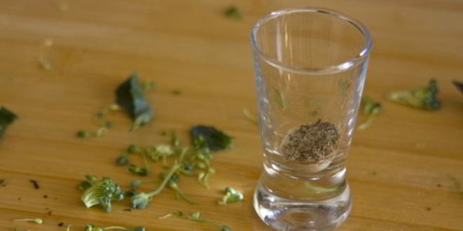 Рецепт супа-пюре из брокколи