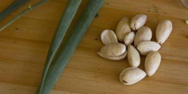 Рецепт супа-пюре из брокколи