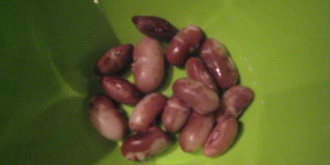 Рецепт супа-пюре из фасоли