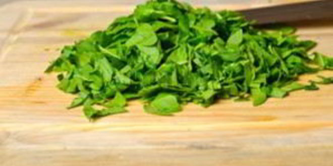 Рецепт томатного супа с говядиной