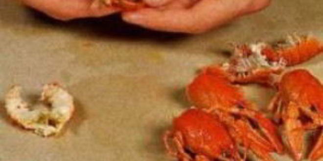 Рецепт томатного супа с раковыми шейками