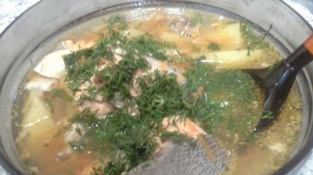 Как приготовить домашнюю уху