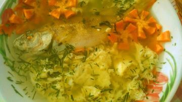 Рецепт Рыбного супа уха из окуня