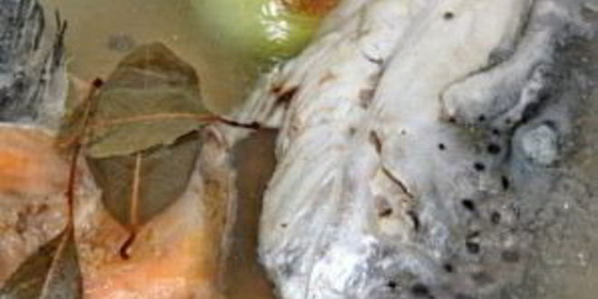 Рецепт ухи из красной рыбы