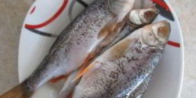 Рецепт ухи из плотвы