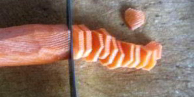 Рецепт ухи из плотвы