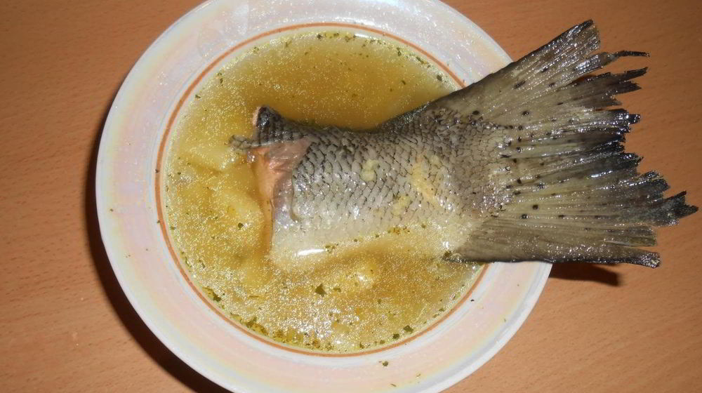 Как приготовить уху из семги с пшеном