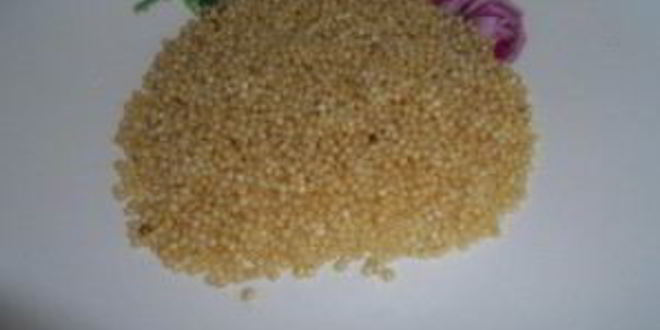 Рецепт ухи из семги с пшеном