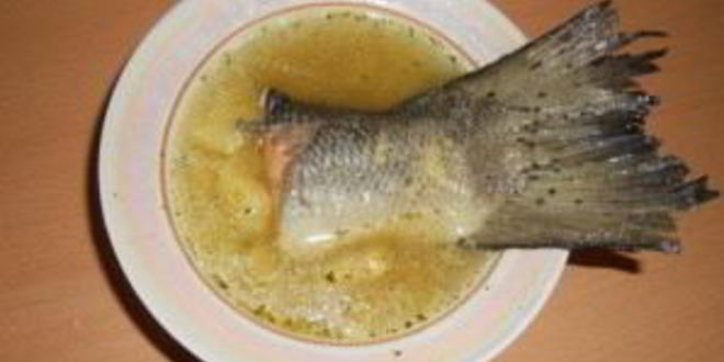 Рецепт ухи из семги с пшеном