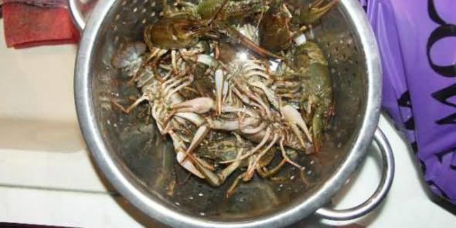 Рецепт ухи с раками и икрой