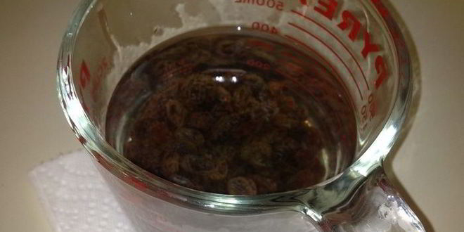 Рецепт ароматных булочек с изюмом