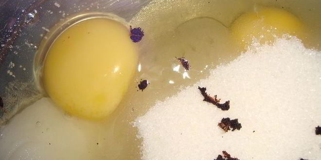 Рецепт домашних плюшек