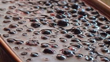 Рецепт Чизкейка с черной смородинкой