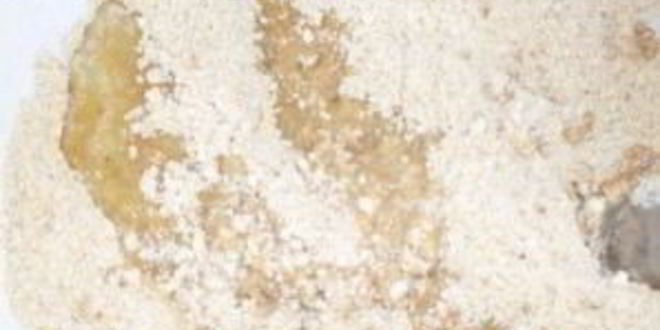 Рецепт чизкейка с творогом и сгущенкой