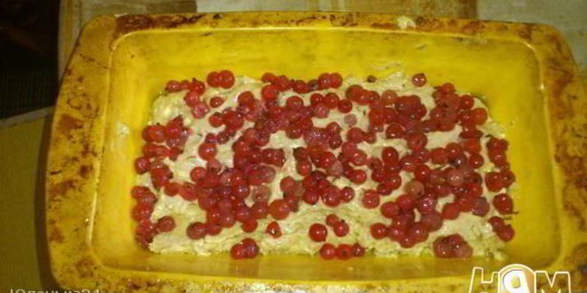 Рецепт шоколадного кекса с красной смородиной и цикорием