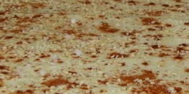 Рецепт лаваша-крекера