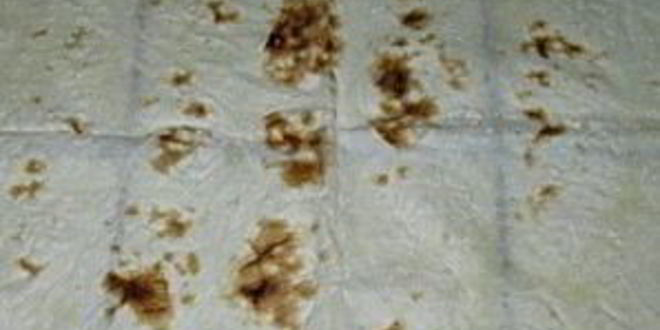 Рецепт лаваша с консервой