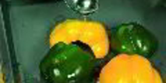 Рецепт рулетов из лаваша с разными начинками